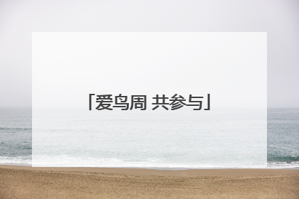 爱鸟周 共参与